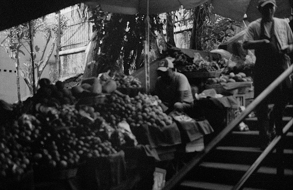 33 Alexander Daum - Ilford HP5+ 400 por Arca Film Lab (Noviembre 2024) - Rollo 0511
