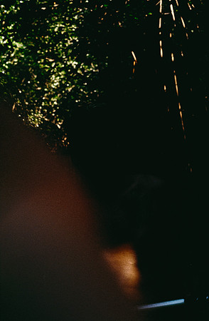20 Karen Lucía Lara - Kodak Gold 200 por Arca Film Lab (Marzo 2025) - Rollo 0796