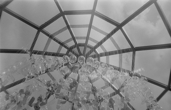 17 Adriana Ruano - Ilford HP5+ 400 por Arca Film Lab (Noviembre 2024) - Rollo 0488