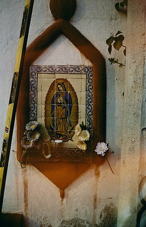 05 Gabriela Retana - Kodak Gold 200 por Arca Film Lab (Mayo 2025) - Rollo 1013