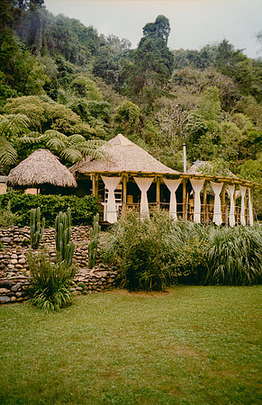 21 Jazmine Sousa - Kodak Gold 200 por Arca Film Lab (Marzo 2025) - Rollo 0847