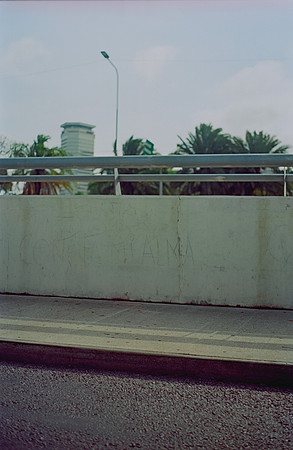 10 Luis Pablo Pérez - Kodak Ektar 100 por Arca Film Lab (Febrero 2025) - Rollo 0710