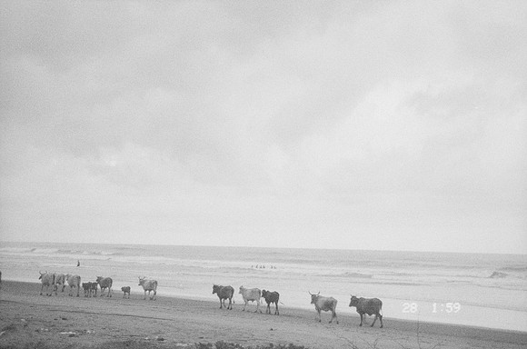 20 Elena Campos - Ilford HP5+ 400 por Arca Film Lab (Junio 2025) - Rollo 1114