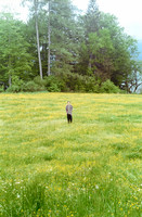 11 Amanda - Kodak Gold 200 por Arca Film Lab (Junio 2025) - Rollo 1139