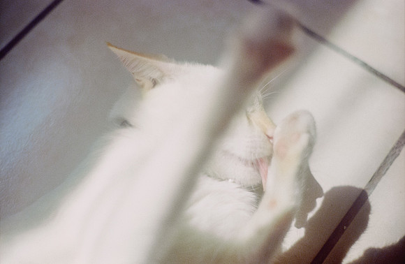 28 Abraham Castillo - Fujifilm 400 por Arca Film Lab (Junio 2025) - Rollo 1118