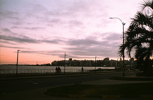 08 Marcelo Domínguez - Fujifilm Provia 100F por Arca Film Lab (Noviembre 2024) - Rollo 0483