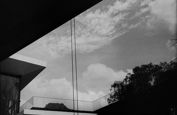 07 Alexander Daum - Ilford HP5+ 400 por Arca Film Lab (Noviembre 2024) - Rollo 0511