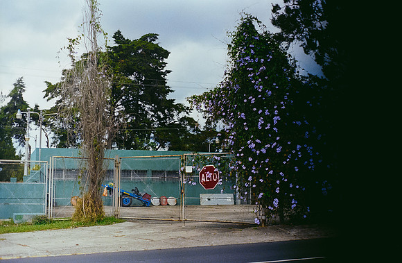 33 Josué Ibarra - Fujifilm 400 por Arca Film Lab (Mayo 2025) - Rollo 1055