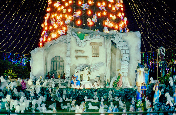 24 Carlos Castro - Cinestill 800T por Arca Film Lab (Enero 2025) - Rollo 0592