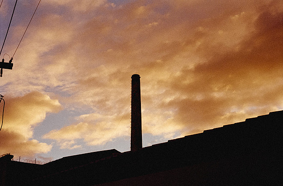 13 Alexander Daum - Fujifilm 200 por Arca Film Lab (Diciembre 2024) - Rollo 0559