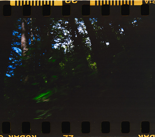 15 Fernanda González - Kodak Ultramax 400 - Arca Film Lab (Mayo 2024) - Rollo 0053