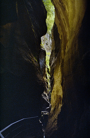 15 María Olga Samperio - Kodacolor 200 por Arca Film Lab (Enero 2025) - Rollo 0677
