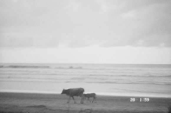 19 Elena Campos - Ilford HP5+ 400 por Arca Film Lab (Junio 2025) - Rollo 1114
