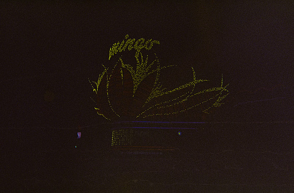 30 José González - Kodak Vision 3 500T por Arca Film Lab (Noviembre 2024) - Rollo 0476