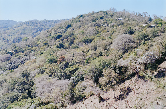 26 Harry Leath - Kodak Gold 200 por Arca Film Lab (Marzo 2025) - Rollo 0816