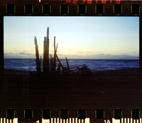 01 Fernanda González - Kodak Portra 400 - Arca Film Lab (Mayo 2024) - Rollo 0052