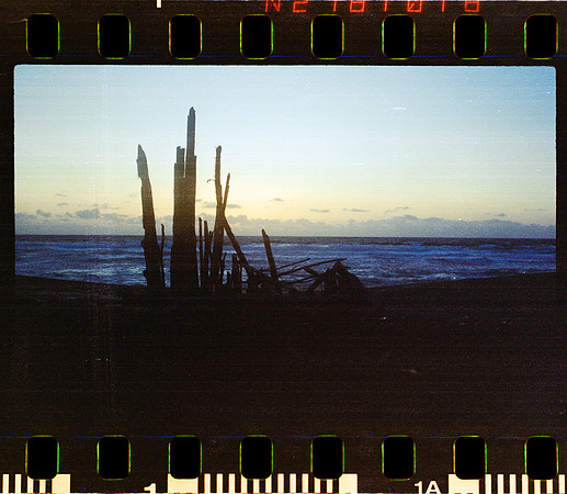 01 Fernanda González - Kodak Portra 400 - Arca Film Lab (Mayo 2024) - Rollo 0052