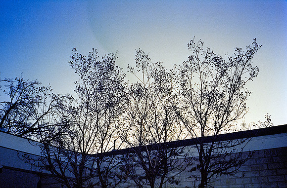 18 Paulo Contreras - Cinestill 800T - Arca Film Lab - Rollo 0613