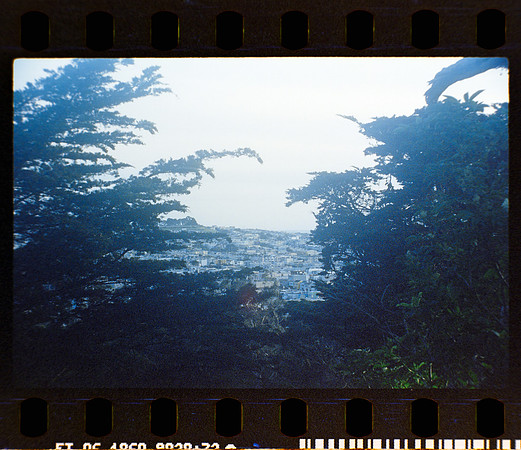 23 Fernanda Gonzáles - Reflx Lab 800T Push 3200 por Arca Film Lab (Mayo 2024) - Rollo 0049