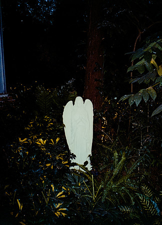 59 Steve Palma - Fujifilm 400 por Arca Film Lab (Enero 2025) - Rollo 0628