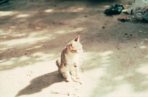 11 Emerson Quintanilla - Fujifilm 200 por Arca Film Lab (Abril 2025) - Rollo 0907