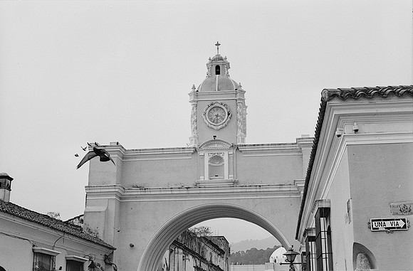 11 Lalo Quintero - Ilford XP2 400 por Arca Film Lab (Junio 2025) - Rollo 1161
