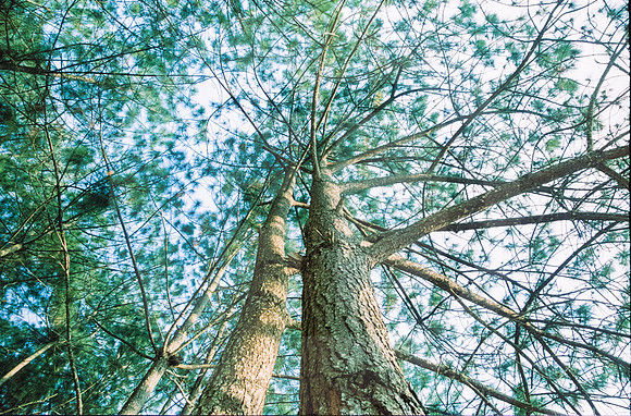 05 Fabriccio Díaz - Fujichrome Provia 100F por Arca Film Lab (Junio 2024) - Rollo 0046