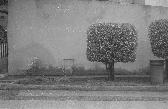 12 Vivian Kotouch - Ilford HP5+ 400 por Arca Film Lab (Noviembre 2024) - Rollo 0416