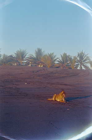 02 Gina Zucchino - Kodak Ultramax 400 por Arca Film Lab (Febrero 2025) - Rollo 0754