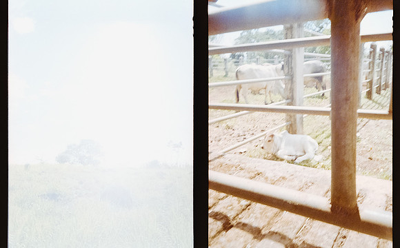 05 Natalia Cordón - Kodak Gold 200 por Arca Film Lab (Abril 2025) - Rollo 0947