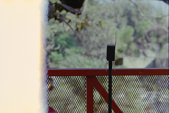 01 Andrés Cux - Fujifilm 400 por Arca Film Lab (Abril 2024)