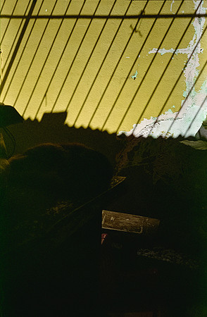 07 Erick Galindo - Fujifilm Superia X-TRA 400 por Arca Film Lab (Febrero 2025) - Rollo 0766