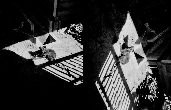 08 Melissa Paises - Ilford HP5+ 400 por Arca Film Lab (Febrero 2025) - Rollo 0686