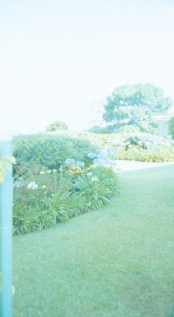 17 Alexander Daum - Kodak Gold 200 por Arca Film Lab (Abril 2025) - Rollo 0899