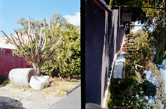 17 Gabriel Fuentes - Kodacolor 200 por Arca Film Lab (Enero 2025) - Rollo 0674
