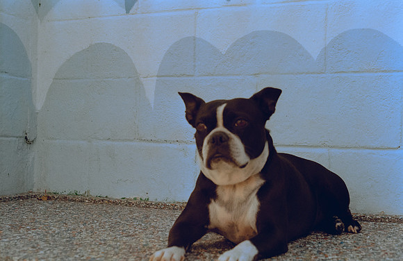 22 Denis Guerrero - Kodak Gold 200 por Arca Film Lab (Agosto 2024) - Rollo 0296