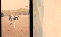 03 Jimmy Barrientos - Fujifilm 400 por Arca Film Lab (Marzo 2025) - Rollo 0853