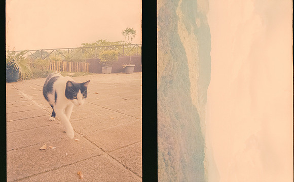 03 Jimmy Barrientos - Fujifilm 400 por Arca Film Lab (Marzo 2025) - Rollo 0853