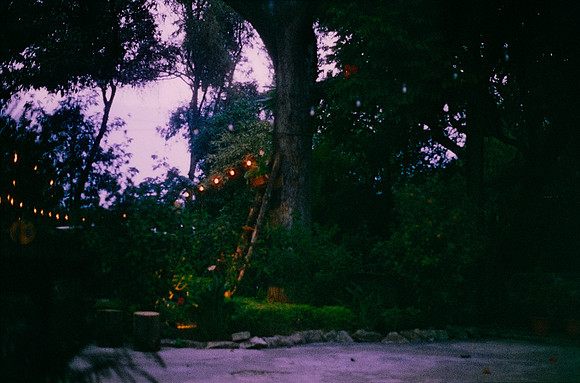 27 Natalia Cordón - Harman Phoenix 200 por Arca Film Lab (Abril 2025) - Rollo 0949