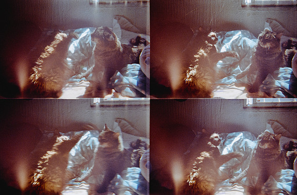 06 Natalia Mendoza - Kodak Gold 200 por Arca Film Lab (Marzo 2025) - Rollo 0807