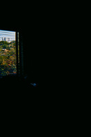 17 Ruby Coen - Kodak Gold 200 por Arca Film Lab (Febrero 2025) - Rollo 0884