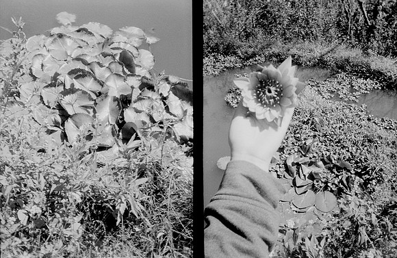 24 Melissa Paises - Ilford HP5+ 400 por Arca Film Lab (Febrero 2025) - Rollo 0686