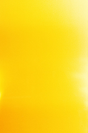 22 Andrea Osorio - Kodak Gold 200 por Arca Film Lab (Enero 2025) - Rollo 0638