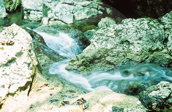 29 Fabriccio Díaz - Fujichrome Provia 100F por Arca Film Lab (Junio 2024) - Rollo 0046
