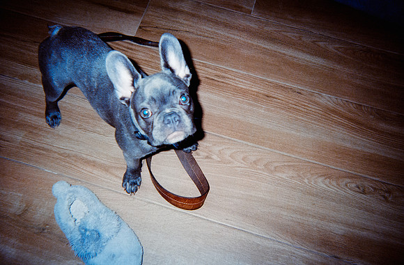 20 Diana Roca - Fujifilm 400 por Arca Film Lab (Mayo 2025) - Rollo 1052