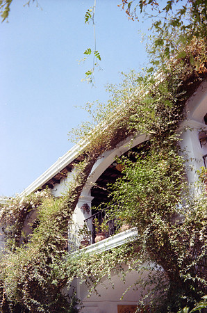 35 Jorge Iboy Kodak Gold por Arca Film Lab (Mayo 2024) - Rollo 0087