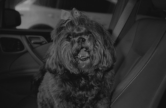 09 Francisco Chang - Ilford HP5+ 400 por Arca Film Lab (Noviembre 2024) - Rollo 0469