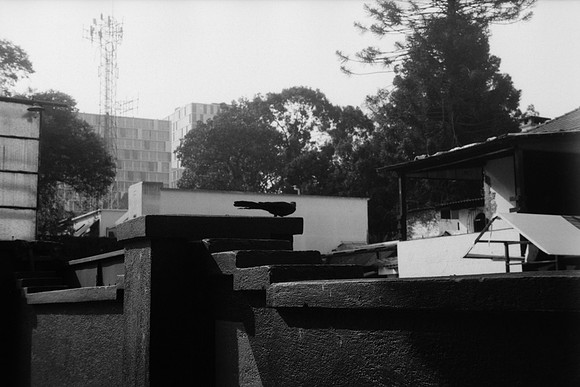 08 Iván Ortíz - Fomapan 100 Push 400 por Arca Film Lab (Abril 2024)