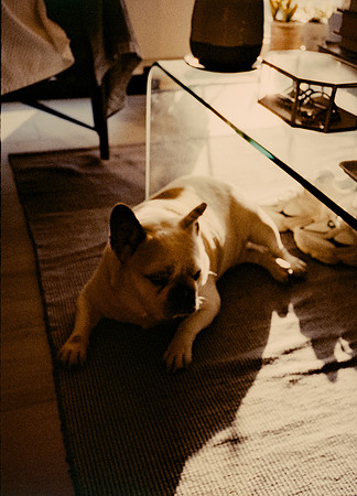 75 Steve Palma - Fujifilm 400 por Arca Film Lab (Enero 2025) - Rollo 0628