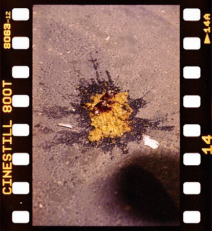 15 Iván Ortíz - Cinestill 800T por Arca Film Lab (Agosto 2024) - Rollo 0279